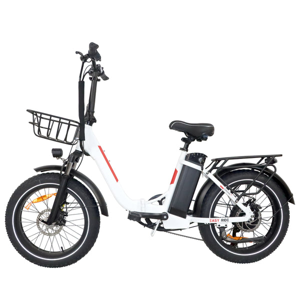 BAOLUJIE DZ2030 E-Bike