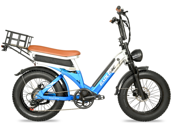 Baolujie 1500W E Bike 2033