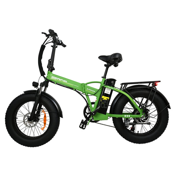 GERPSI DZ2002 E-Bike